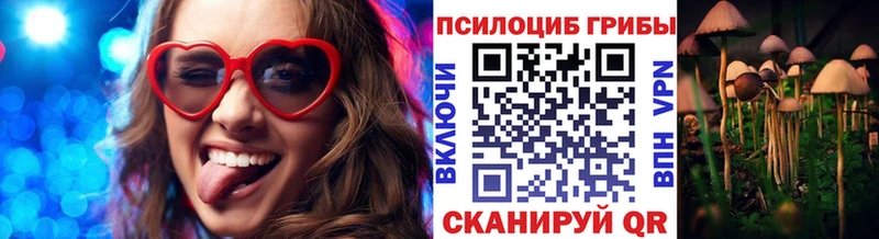 купить закладку  Шахунья  Галлюциногенные грибы GOLDEN TEACHER 